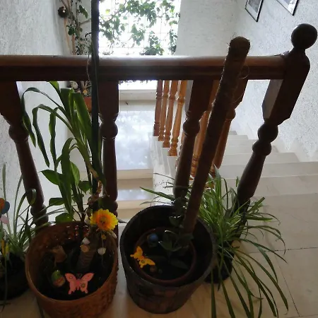 Guest house Radojka 3*